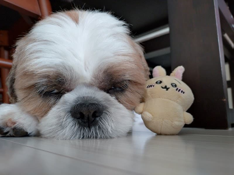 BONITA ボニータの写真2