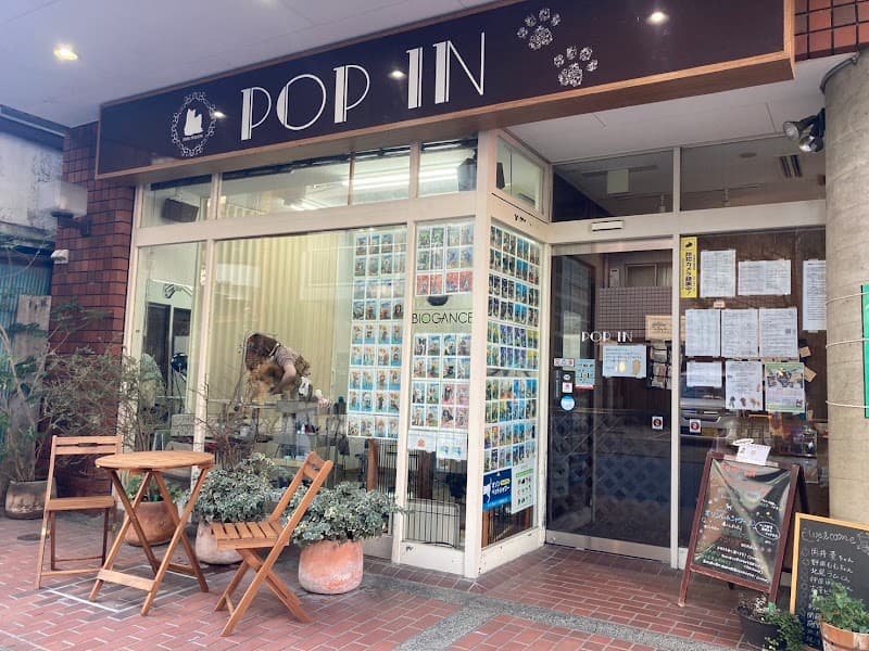 POP IN(ポップイン)の写真