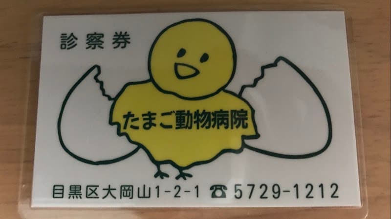たまご動物病院の写真
