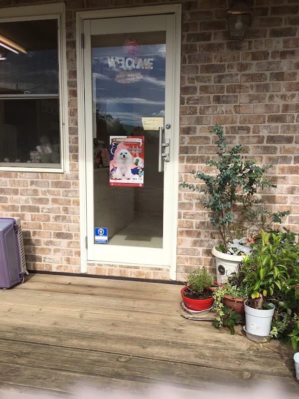 ドッグサロン公梨栄の写真