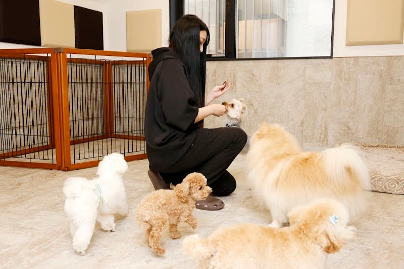 Total Dog Service -Gluck-の写真